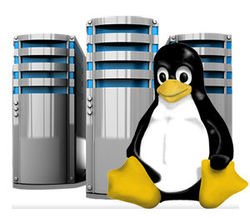 Web Hosting Oro 5 GB