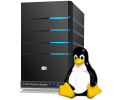 Web Hosting Bronce 1GB